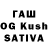 Галлюциногенные грибы Cubensis slavyanin90