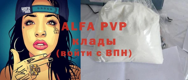 индика Мегион