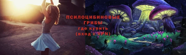 ГАЛЛЮЦИНОГЕННЫЕ ГРИБЫ Михайловск