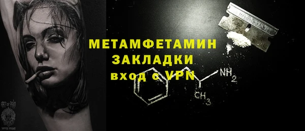 индика Мегион