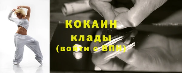 индика Мегион