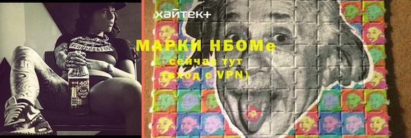 индика Мегион
