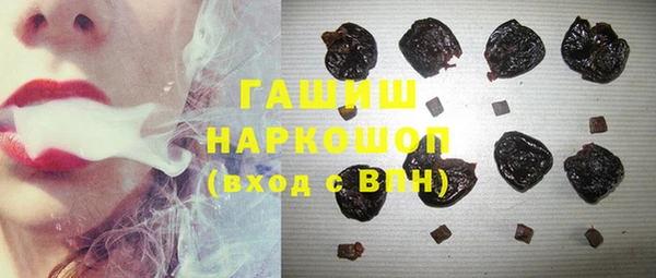 индика Мегион