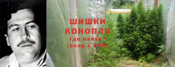 индика Мегион