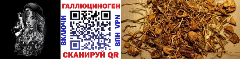 Галлюциногенные грибы MAGIC MUSHROOMS  Очёр 